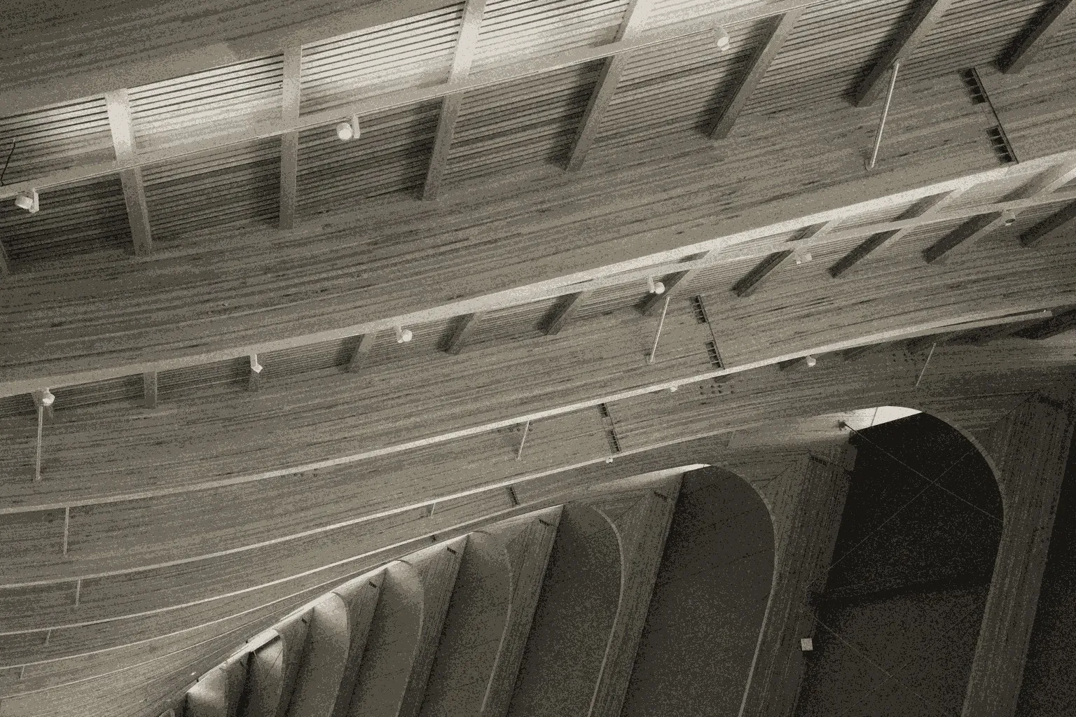 Engineered timber roof structure rendered as an etched print - many members carrying the load under one design